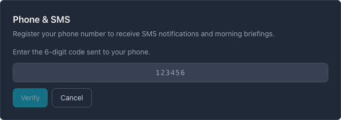 Verification code entry screen